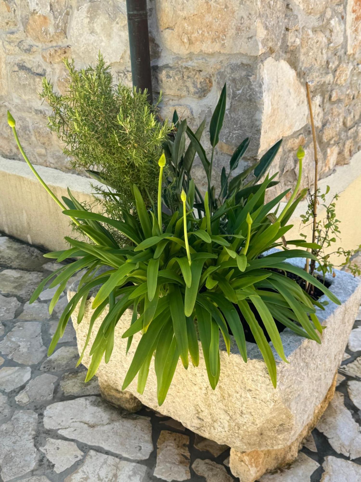 Mediterranes Ferienhaus M. Terrasse Veli Losinj Luaran gambar