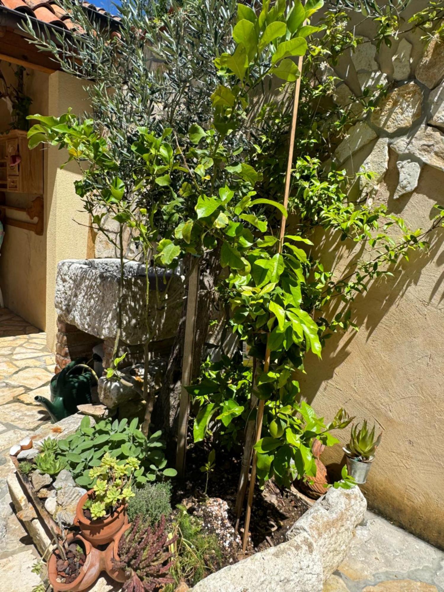 Mediterranes Ferienhaus M. Terrasse Veli Losinj Luaran gambar
